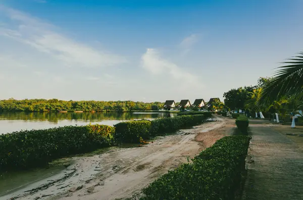 Mangrove, Kolombiya, San Antero, Cordoba 'da.