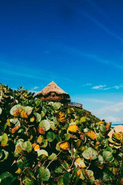 Beautiful landscape with ocean view and blue sky on the beaches of Tayrona Park. Santa Marta, Colombia. clipart