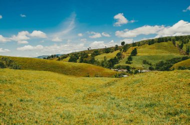 Mavi gökyüzü ile doğal ve kırsal alan.