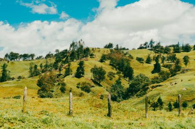 Mavi gökyüzü ile doğal ve kırsal alan.