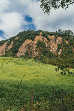 Bravo Hill Venedik, Antioquia, Kolombiya.
