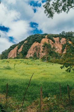 Bravo Hill Venedik, Antioquia, Kolombiya.