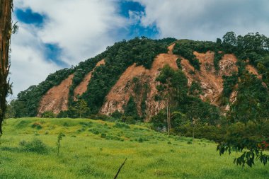 Bravo Hill Venedik, Antioquia, Kolombiya.