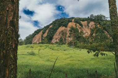 Bravo Hill Venedik, Antioquia, Kolombiya.
