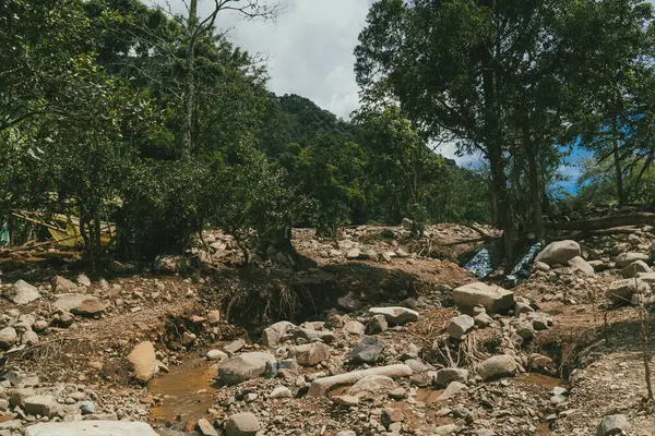 Barranquilla, Kolombiya 'da taş yağmuru.