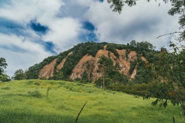 Bravo Hill Venedik, Antioquia, Kolombiya.