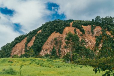Bravo Hill Venedik, Antioquia, Kolombiya.