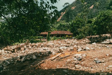 Şiddetli bulvardaki çığ ve enkaz. Venedik, Antioquia, Kolombiya