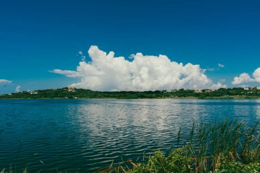 Puerto Kolombiya, Barranquilla 'daki Kuğu Gölü manzaralı manzara.