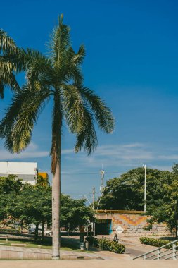 Barranquilla, Atlantico, Kolombiya. 24 Ekim 2024: Güzel mavi gökyüzü ile barış meydanı.