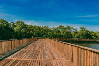 Mallorqun bataklığı iskele ve mavi gökyüzünden görüldü. Barranquilla, Atlantico, Kolombiya.