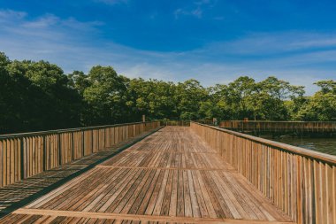 The Mallorqun swamp seen from the pier and blue sky. Barranquilla, Atlantico, Colombia. clipart