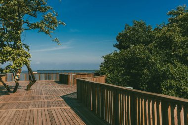 The Mallorqun swamp seen from the pier and blue sky. Barranquilla, Atlantico, Colombia. clipart