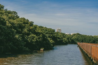 The Mallorqun swamp seen from the pier and blue sky. Barranquilla, Atlantico, Colombia. clipart