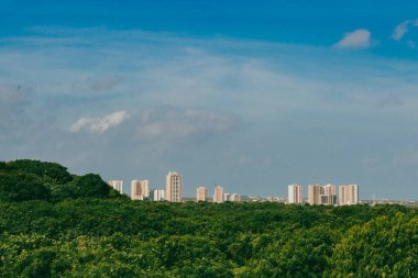 Mallorqun bataklığı iskele ve mavi gökyüzünden görüldü. Barranquilla, Atlantico, Kolombiya.