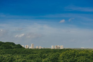 Mallorqun bataklığı iskele ve mavi gökyüzünden görüldü. Barranquilla, Atlantico, Kolombiya.
