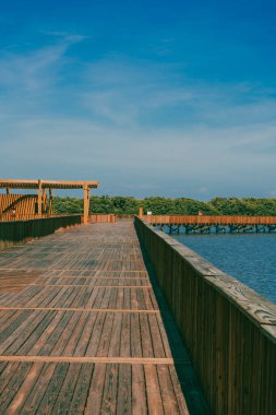 The Mallorqun swamp seen from the pier and blue sky. Barranquilla, Atlantico, Colombia. clipart