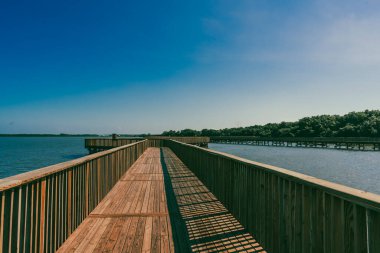 The Mallorqun swamp seen from the pier and blue sky. Barranquilla, Atlantico, Colombia. clipart