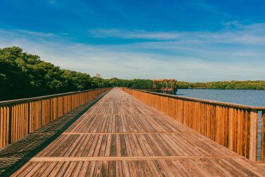 Mallorqun bataklığı iskele ve mavi gökyüzünden görüldü. Barranquilla, Atlantico, Kolombiya.