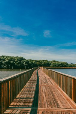Mallorqun bataklığı iskele ve mavi gökyüzünden görüldü. Barranquilla, Atlantico, Kolombiya.