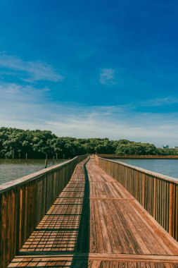Mallorqun bataklığı iskele ve mavi gökyüzünden görüldü. Barranquilla, Atlantico, Kolombiya.