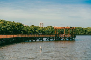 The Mallorqun swamp seen from the pier and blue sky. Barranquilla, Atlantico, Colombia. clipart