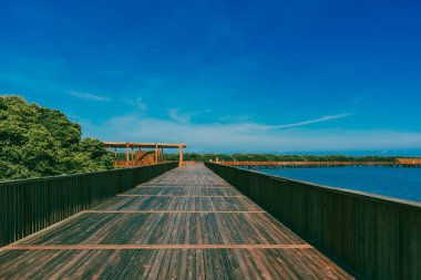 Mallorqun bataklığı iskele ve mavi gökyüzünden görüldü. Barranquilla, Atlantico, Kolombiya.