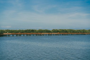 The Mallorqun swamp seen from the pier and blue sky. Barranquilla, Atlantico, Colombia. clipart