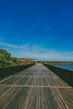 Mallorqun bataklığı iskele ve mavi gökyüzünden görüldü. Barranquilla, Atlantico, Kolombiya.