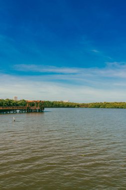 The Mallorqun swamp seen from the pier and blue sky. Barranquilla, Atlantico, Colombia. clipart