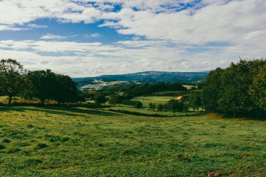 Fransız Yolu 'ndaki orman manzaraları. Birinci aşama, Sarria, Portomarn. İspanya.