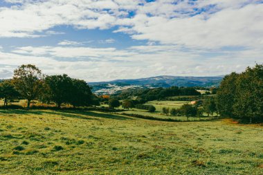 Fransız Yolu 'ndaki orman manzaraları. Birinci aşama, Sarria, Portomarn. İspanya.