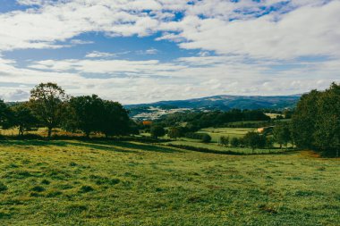 Fransız Yolu 'ndaki orman manzaraları. Birinci aşama, Sarria, Portomarn. İspanya.
