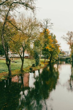 Sarria Nehri 'nin güzel manzarası ve sarı ağaçlar. Sarria, Galiçya, İspanya.