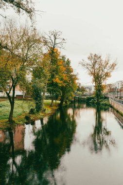 Sarria Nehri 'nin güzel manzarası ve sarı ağaçlar. Sarria, Galiçya, İspanya.