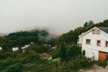 Fransa 'nın Portomarn' dan Palas de Rei.Güzel sonbahar ağaçları üzerindeki orman patikaları..