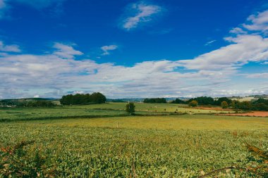 Yollu manzara ve Fransız Yolu 'nda mavi gökyüzü olan güzel dağlar. Sahne Portomarn - Palas de Rei. İspanya.