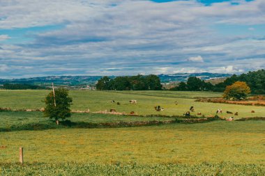 Yollu manzara ve Fransız Yolu 'nda mavi gökyüzü olan güzel dağlar. Sahne Portomarn - Palas de Rei. İspanya.