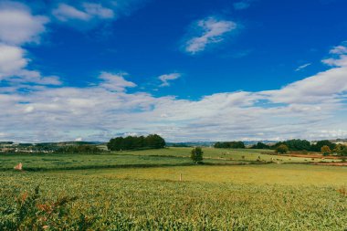Yollu manzara ve Fransız Yolu 'nda mavi gökyüzü olan güzel dağlar. Sahne Portomarn - Palas de Rei. İspanya.