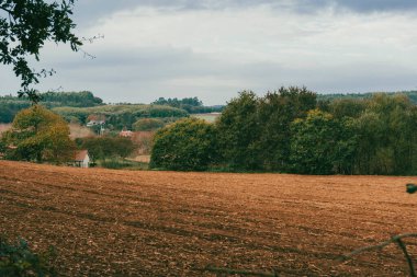 Forest landscapes and rural panoramic views on the stage from Arzua to Pedrouzo. Spain. clipart