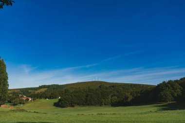 Fransız Yolu 'ndaki güzel ağaçlarla birlikte ormanın manzarası. Palas de Rei - Melide sahnesi. İspanya.