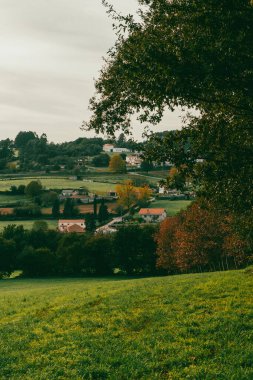 Sahne: Melide - Arzua Fransız güzergahında güzel kırsal manzaralar ve güzel ormanlarla. İspanya.