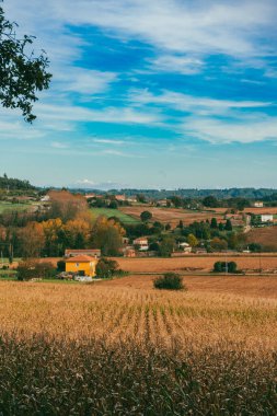 Sahne: Melide - Arzua Fransız güzergahında güzel kırsal manzaralar ve güzel ormanlarla. İspanya.