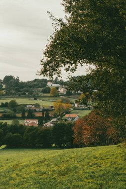 Sahne: Melide - Arzua Fransız güzergahında güzel kırsal manzaralar ve güzel ormanlarla. İspanya.
