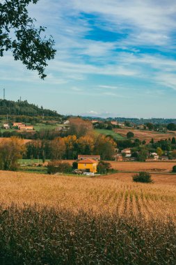 Stage: Melide - Arzua on the French route with beautiful rural landscapes and lovely forests. Spain. clipart