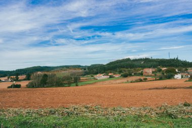 Sahne: Melide - Arza Fransız güzergahında güzel kırsal manzaralar ve güzel ormanlarla. İspanya.