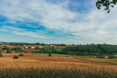 Sahne: Melide - Arza Fransız güzergahında güzel kırsal manzaralar ve güzel ormanlarla. İspanya.