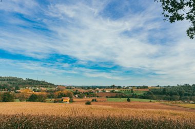 Sahne: Melide - Arza Fransız güzergahında güzel kırsal manzaralar ve güzel ormanlarla. İspanya.