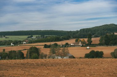 Sahne: Melide - Arza Fransız güzergahında güzel kırsal manzaralar ve güzel ormanlarla. İspanya.