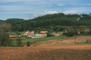 Sahne: Melide - Arza Fransız güzergahında güzel kırsal manzaralar ve güzel ormanlarla. İspanya.